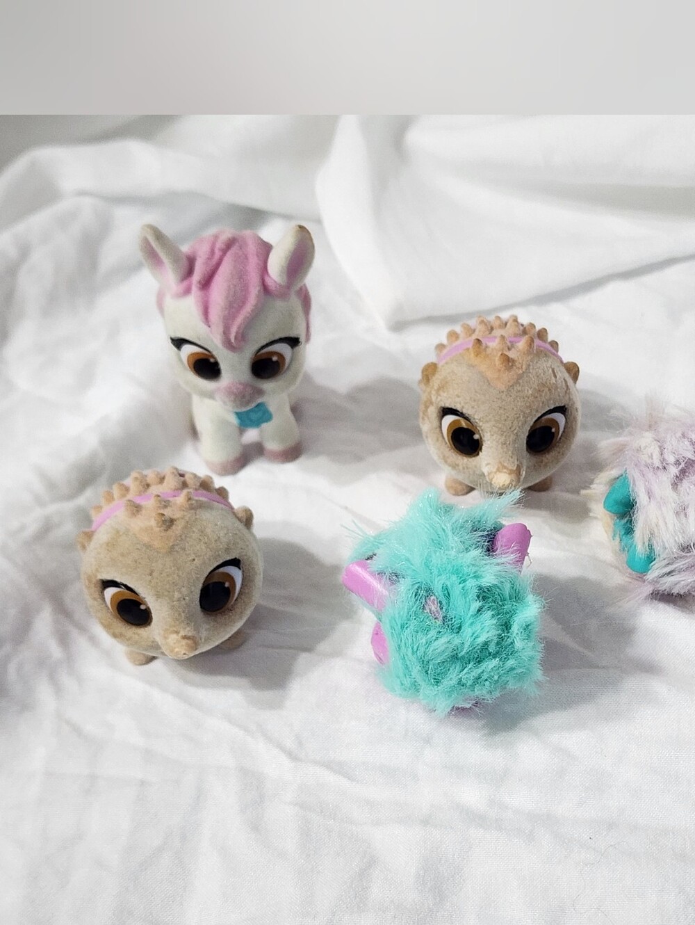 Mini Pet Bundle